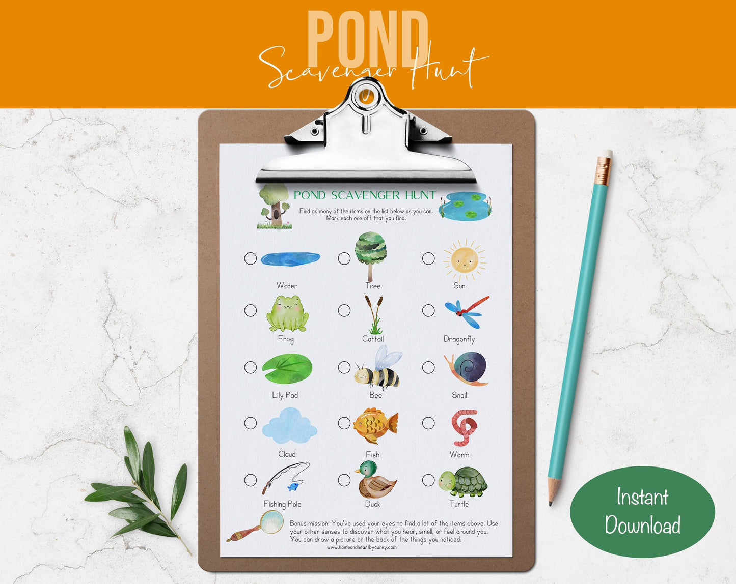 Pond Scavenger Hunt