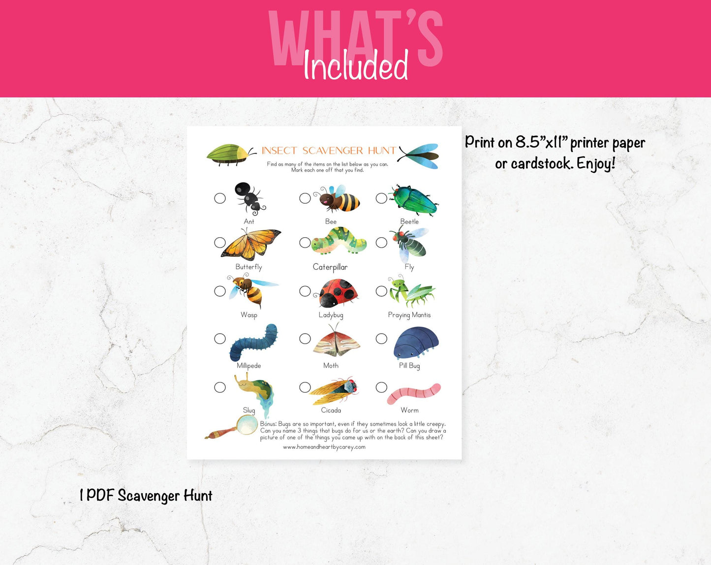 Insect Scavenger Hunt