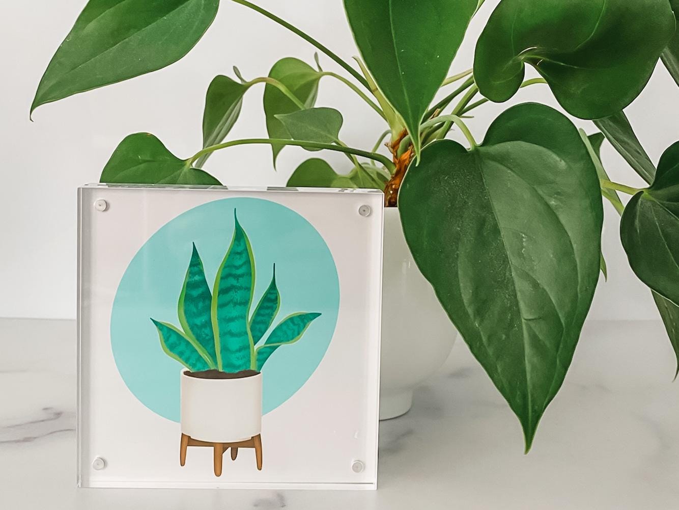 House Plant Print