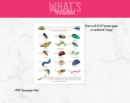 Insect Scavenger Hunt