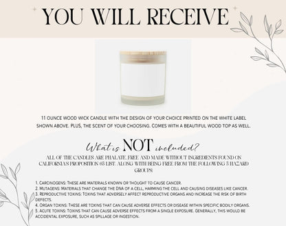 Winter Window Frosted Glass Candle 11 oz
